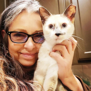 Karen Jealous of Cat Trapper PDX