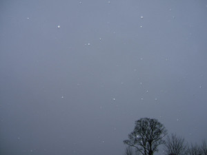 "February snow" by ztephen is licensed under CC BY-NC-SA 2.0