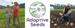 Andrew Still of Adaptive Seeds Andrew Still of Adaptive Seeds