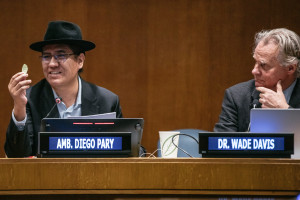 From left to right: His Excellency Ambassador Diego Pary, Permanent Representative of Bolivia to the United Nations, seated and holding coca leaves in one hand, and Professor Wade Davis, PhD From left to right: His Excellency Ambassador Diego Pary, Permanent Representative of Bolivia to the United Nations, seated and holding coca leaves in one hand, and Professor Wade Davis, PhD