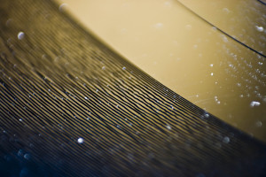 vinyl_groove_macro.jpg