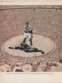 "Matador Ali" (collage by Kevin Sampsell) "Matador Ali" (collage by Kevin Sampsell)