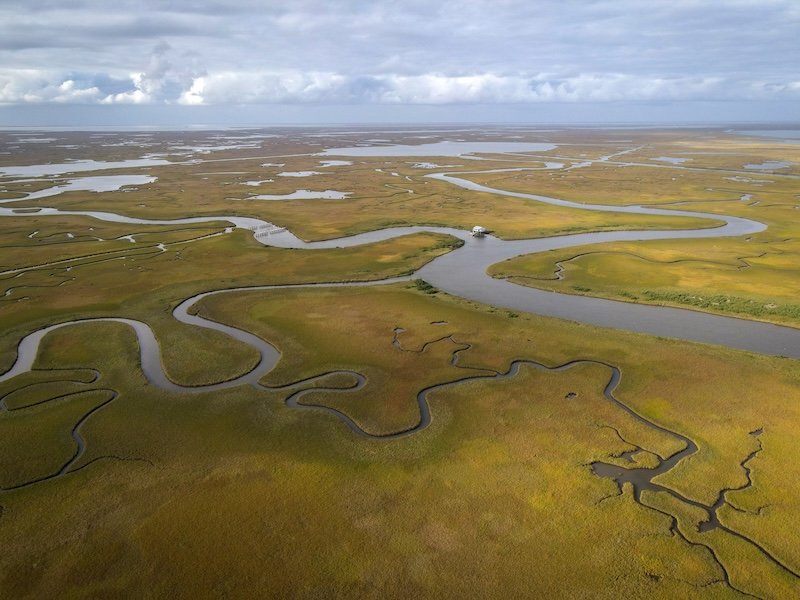 The Great River: The Making & Unmaking Of The Mississippi 