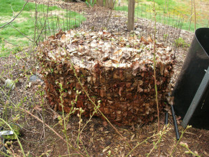 leaf compost bin leaf compost bin