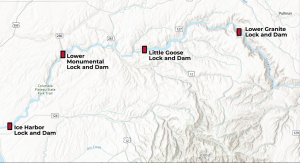 Lower Snake River Dams Lower Snake River Dams