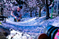 Laika Animator Chris Tootell guides Coraline through an orchard of popcorn blossoms. Stop-motion puppets are part of the Laika Animation exhibition at the Portland Art Museum on KBOO's Words and Pictures