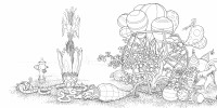 From A Walk in Eden by Anders Nilsen Anders Nilsen appears on the KBOO Radio show Words and Pictures with host S.W. Conser