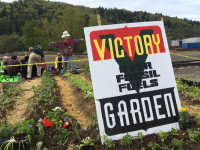 Victory Against Fossil Fuels Garden Victory Against Fossil Fuels Garden