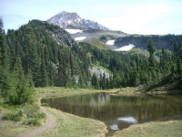 Tarn on the way to McNeil Pt. Mt. Hood Wilderness Tarn on the way to McNeil Pt. Mt. Hood Wilderness