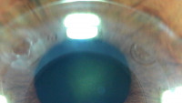 eye on the press eye see you